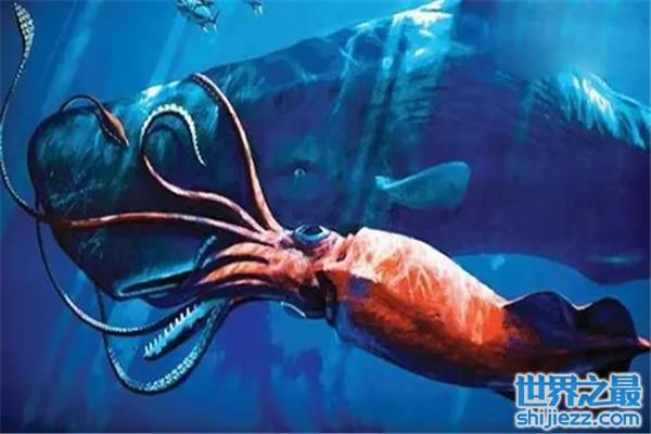 【远古最可怕的三大巨鱿：远古大鱿曾统治海洋 】图2