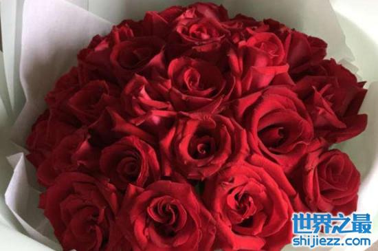 【十大最贵的玫瑰花品牌：花里上榜，爱尚鲜花位列榜首 】图4