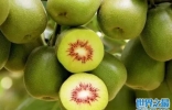 猕猴桃十大品种，猕猴桃品种排行榜