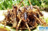 山东四大怪菜：乌鱼蛋上榜，油炸蝎子位居第一宝座