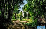 中国十大著名竹海，中国哪里竹海最值得去
