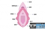 生理科普：阴道到底指什么？女人，请好好了解自己