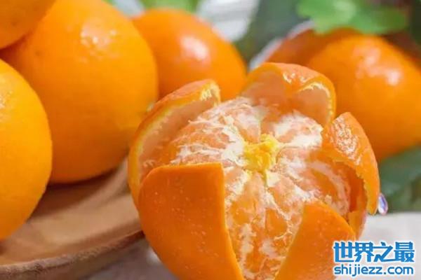 【最好的柑橘品种有哪些？盘点柑橘十种优良品种 】图3