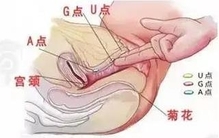 丁丁长度对女生来说重要吗？太大的烦恼你不懂……