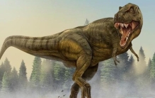 恐龙会灭绝可能并不是因为小天体科学家提出了恐怖的猜想