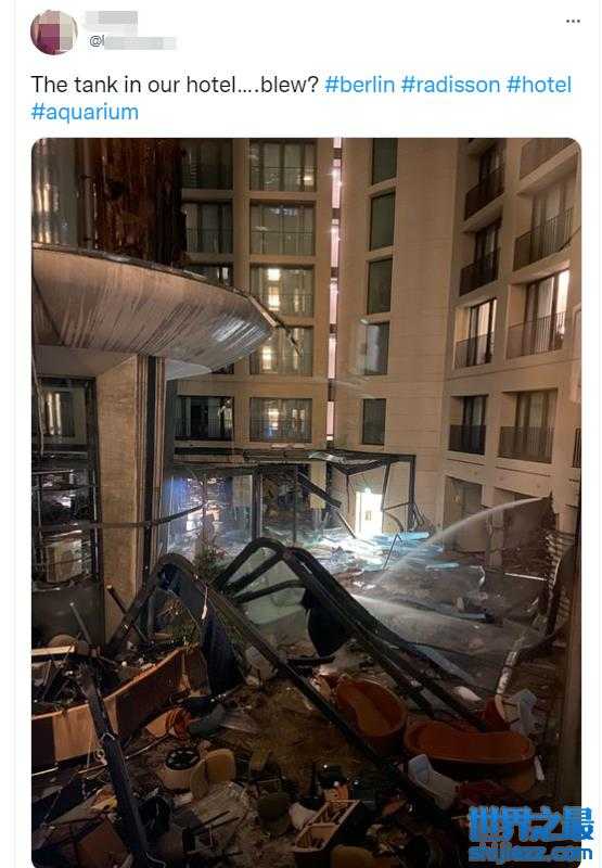 全球最大独立圆柱体水族箱爆裂，100万升水和1500条鱼倾泻而出 