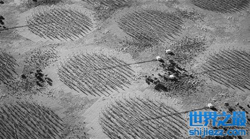 世界最大射电天文台在澳洲和南非开建，巨型望远镜阵列超灵敏 