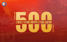 2022年度中国最具价值品牌500强排行榜完整名单