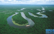 亚马逊雨林的奇幻遭遇 居然被十几种水怪围攻（水怪攻击）