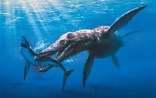 动物历史上得巨人，从鱼类到哺乳类都有哪些称得上巨人
