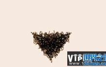 丁丁上面的毛发，有啥生理作用