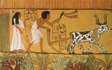 生产力决定社会进步 古埃及文明的覆灭 难道就是因为这个？