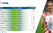 FIFA盘点年终世界排名：摩洛哥全年积分最多 喀麦隆单场积分最多