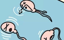 精尽而亡真的会出现吗