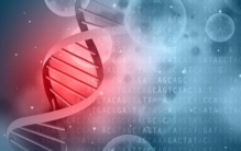 世界上有多少人的长相和你相似 我们是否能找到？（相似基因）