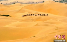 东西问丨盖志毅：中国治理库布其沙漠，为何令世界刮目相看？