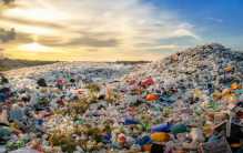 能够吞噬塑料的细菌 环境问题是否已经有救？（吞噬塑料）