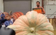你知道世界上最大的十中果蔬有多大吗（千斤的南瓜）