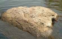 传说中的饥饿之石现世 旱灾有多可怕（极端旱灾）