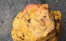 福建地区出现会流血的石头 原来是这个原因（预告灾难）