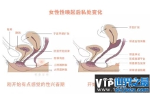 女生的阴道也有长短之分吗