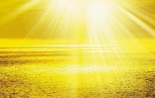 用望远镜看看阳会发生什么，看看这个猪眼就知道了（猪眼实验）