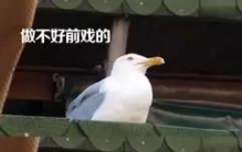 想要有更好的性体验？你需要更多前戏