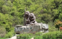 神农架为什么会被列为禁区 丛林深处都有什么？（神农架禁区）