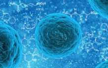 北极可能有着远古病毒封存 现在潘多拉魔盒已经被打开