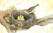 极端动物保护组织 居然连打苍蝇都成为罪过（极端思想）