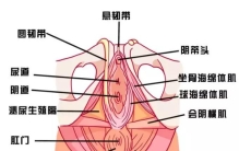 下面松弛，亲密时没感觉怎么办