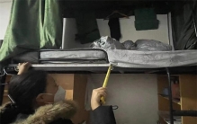 女生熟睡时从学校宿舍上铺坠亡 到底是什么原因？（宿舍安全）