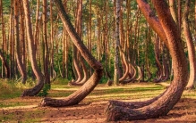 地球上三处与世隔绝的神秘地带 都是真实存在