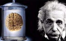 悲惨的科学家 死亡之后居然也不会放过（爱因斯坦大脑）