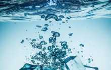 动物喝下浑浊的脏水 为什么他们没有感觉到不适？（动物饮食）