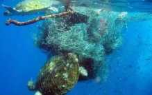 6km的深海发现神秘物体 被称之为人类耻辱（深海发现）