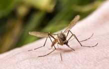 男子在酒店被蚊子咬 居然提出了这个请求（奇葩顾客）