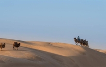 骆驼被卖了一年之后 居然自己回了家（骆驼认路）