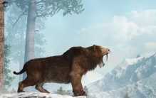 世界上有史以来最强大的猫科动物 剑齿虎（古老的生物）