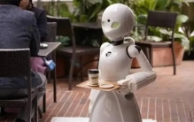 机器人“抢饭碗” 打工人慌了吗？（机器人工作）