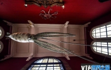 世界十大著名海洋博物馆，中国国家海洋博物馆上榜