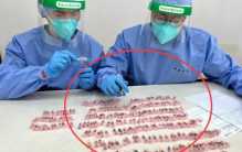 上海机场过3000只活体蚂蚁 到底是谁在投毒（生物入侵）