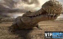 十大灭绝的远古生物，帝王鳄曾是地球最大鳄鱼