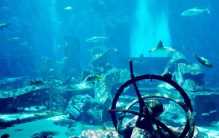 海底出现了村庄 亚特兰蒂斯的传说难道是真的（无法确定）