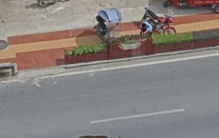 牦牛失控撞伤4人 为什么会突然攻击人？（野牛攻击）