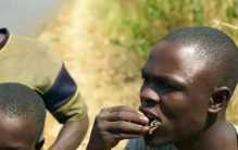 非洲“硬菜”蚊子饼 有没有人敢尝试（非洲美食）