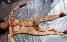 慎入！廊坊梨园村事件，重现明朝锦衣卫剥皮酷刑