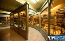 中国十大生物博物馆盘点，中山大学生物博物馆居首位