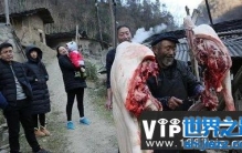 自家杀年猪并出售给他人违法吗？