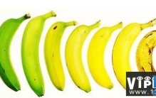 中美丁丁大比拼中国JJ或成最后赢家